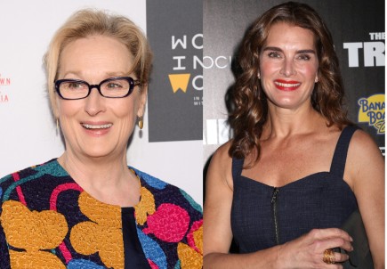 Meryl y Brooke famosos familia