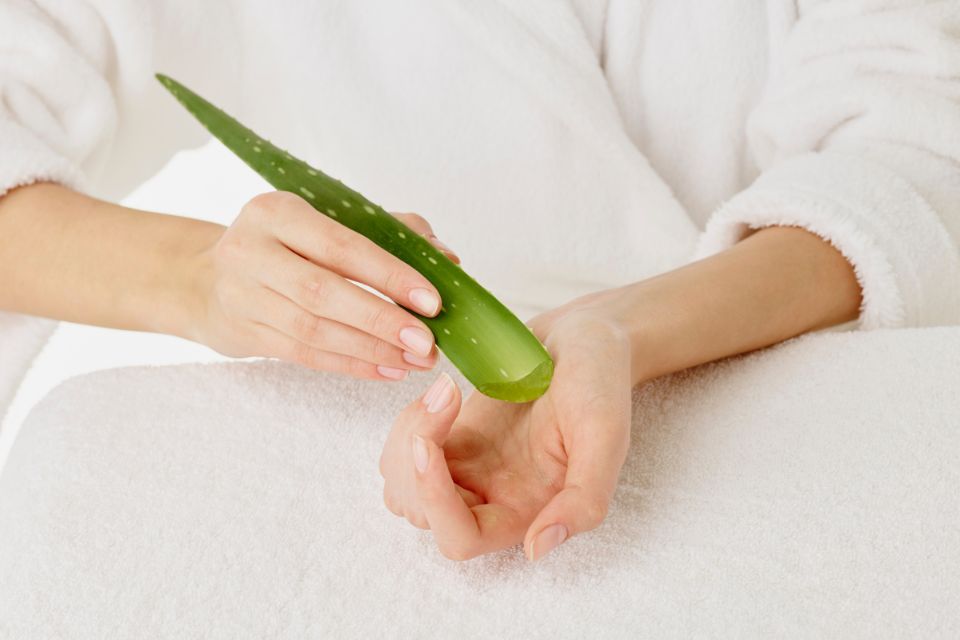7 beneficios del Aloe Vera que debes saber (Envato)