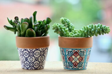 5 ideas para pintar tus macetas