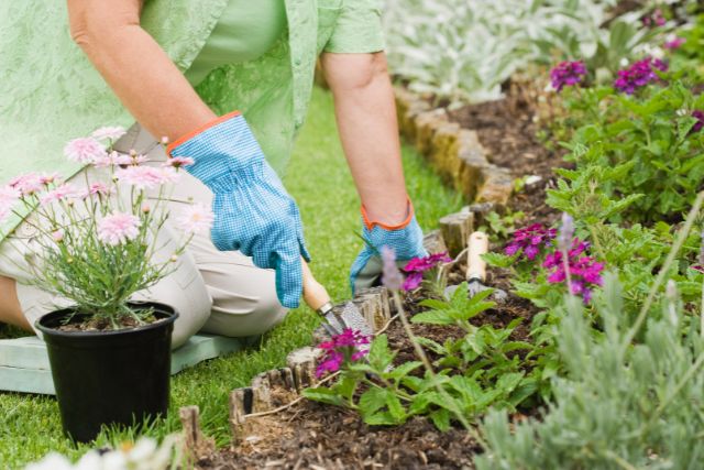 Aprender jardinería reduce el estrés (Canva)